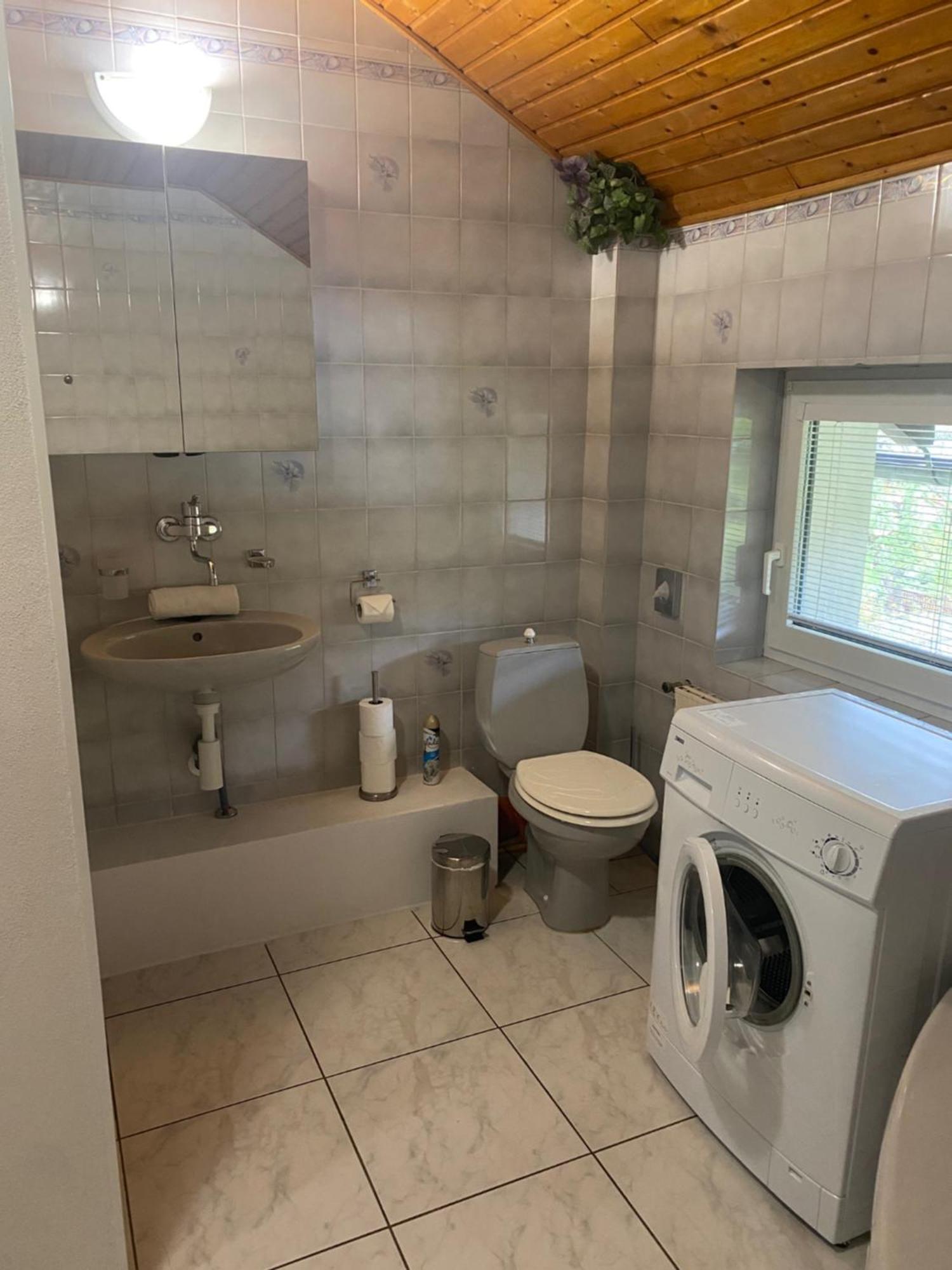 Apartmany Nad Rybnikem Železná Ruda Екстериор снимка